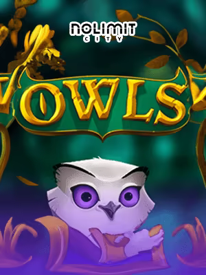 shelter bet slot - slot online di MY